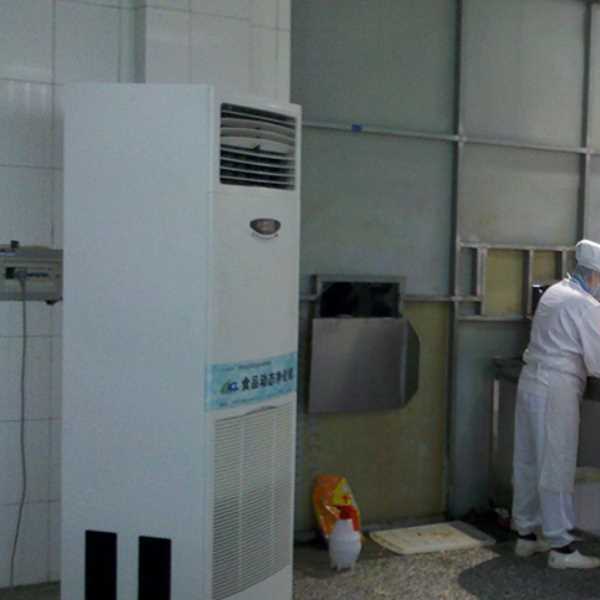 咸阳食品正负离子空气杀菌器